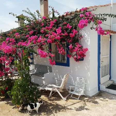 Finca La Joya Torreblanca Luaran gambar