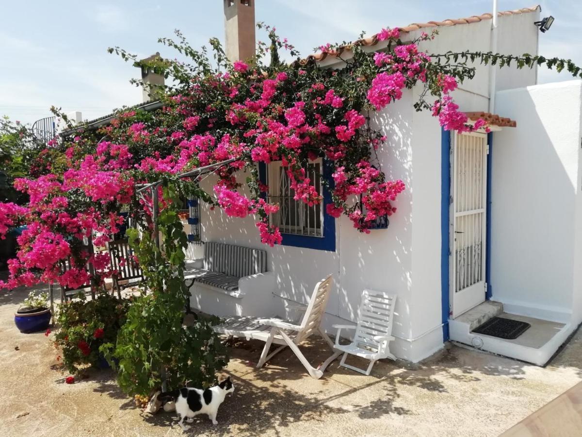 Finca La Joya Torreblanca Luaran gambar