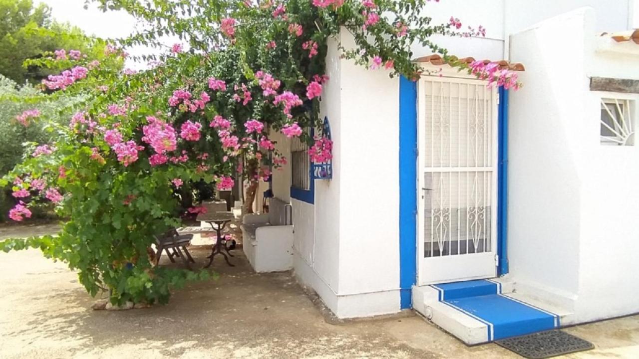 Finca La Joya Torreblanca Luaran gambar
